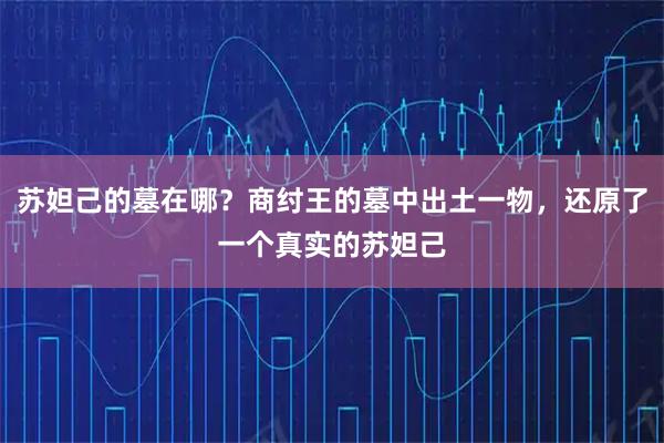 苏妲己的墓在哪？商纣王的墓中出土一物，还原了一个真实的苏妲己