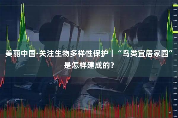 美丽中国·关注生物多样性保护｜“鸟类宜居家园”是怎样建成的？