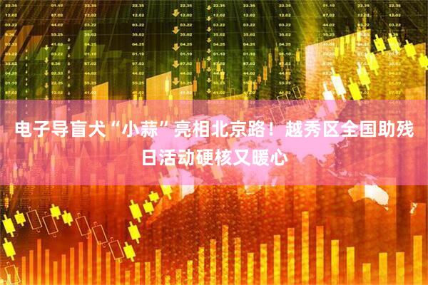 电子导盲犬“小蒜”亮相北京路！越秀区全国助残日活动硬核又暖心