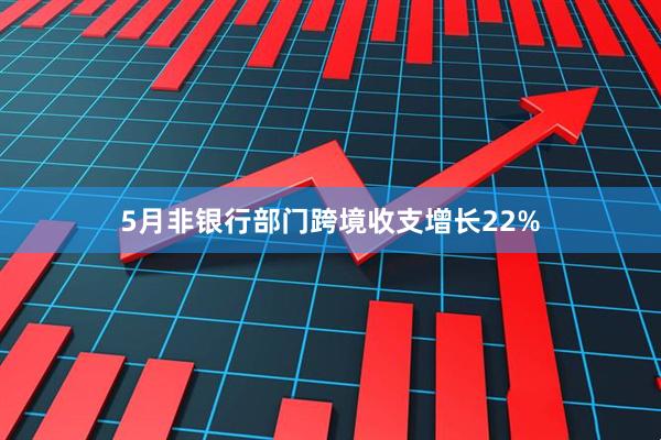 5月非银行部门跨境收支增长22%