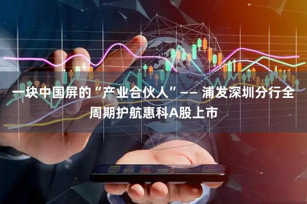 一块中国屏的“产业合伙人”—— 浦发深圳分行全周期护航惠科A股上市