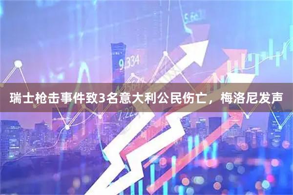 瑞士枪击事件致3名意大利公民伤亡，梅洛尼发声